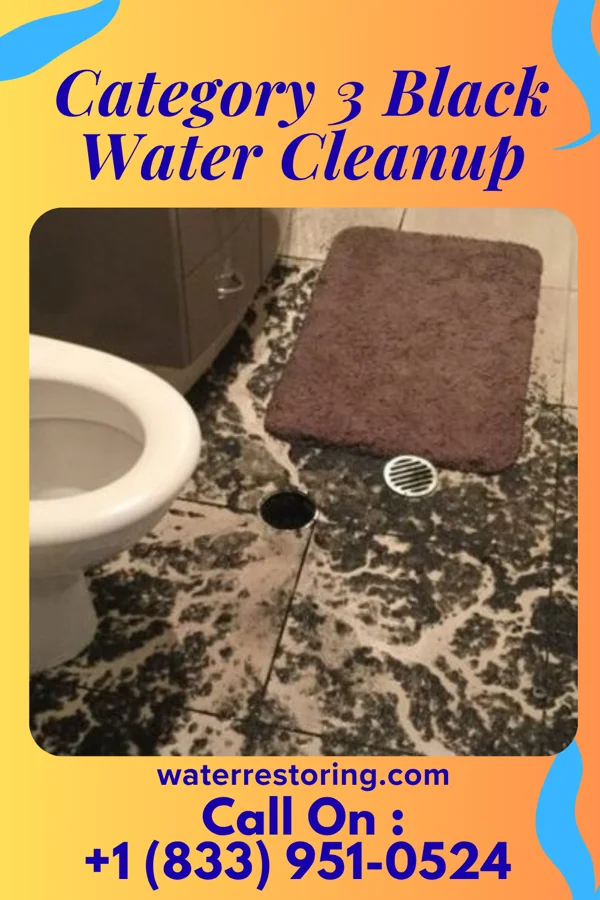 Category 3 Black Water Cleanup in Mountain View, WY