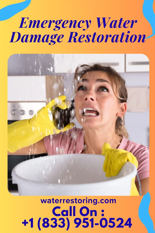 Emergency Water Damage Restoration in Mountain View, WY